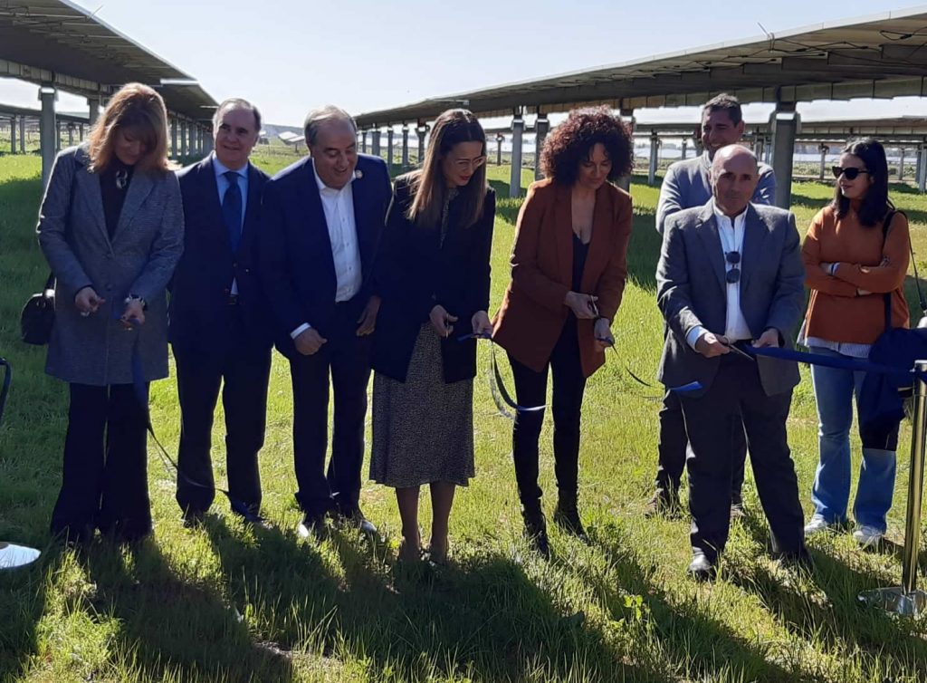 Planta Alter Enersun CL Grupo Industrial